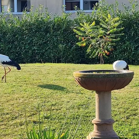 아파트 Sainte Hune *