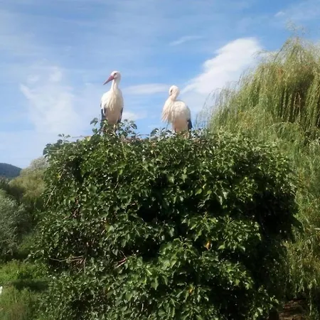 Sainte Hune 아파트